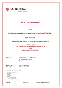 (Mytilus Edulis) Fishery and the Linked Ireland Bottom Grown