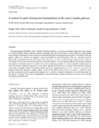 A System for Gene Cloning and Manipulation in the Yeast Candida Glabrata