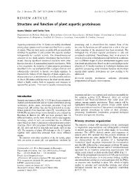 Structure and Function of Plant Aspartic Proteinases