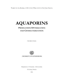 Aquaporins Production Optimization and Characterization