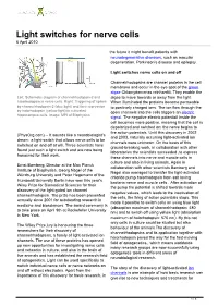 Light Switches for Nerve Cells 6 April 2010
