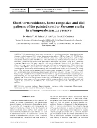 Short-Term Residence, Home Range Size and Diel Patterns of the Painted Comber Serranus Scriba in a Temperate Marine Reserve