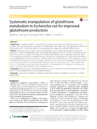 Systematic Manipulation of Glutathione Metabolism in Escherichia Coli for Improved Glutathione Production