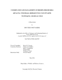 TSAKIRIS-DISSERTATION-2016.Pdf (4.157Mb)