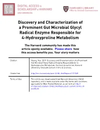 Discovery and Characterization of a Prominent Gut Microbial Glycyl Radical Enzyme Responsible for 4-Hydroxyproline Metabolism