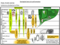 Geological Basis of Coal Formation Origin of Peat Swamps Evolutionary Development of Flora