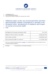 Reflection Paper on the Use of Aminopenicillins and Their Beta