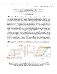 Amplification of RNA by an RNA Polymerase Ribozyme David P
