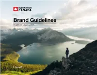Brand Guidelines Version 3.3 | January 2017 Introduction