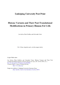 Histone Variants and Their Post-Translational Modifications in Primary Human Fat Cells