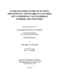 In Silico Structure-Function, Specificity and Stability Studies of N-Terminal Nucleophile Hydrolase Enzymes