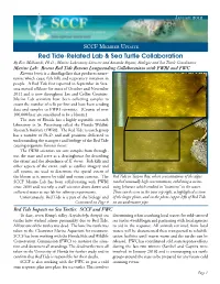 Red Tide-Related Lab & Sea Turtle Collaboration