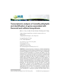 Transcriptomic Analysis of Camellia Ptilophylla and Identification of Genes Associated with Flavonoid and Caffeine Biosynthesis