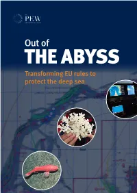 Out of the Abyss Transforming EU Rules to Protect the Deep Sea