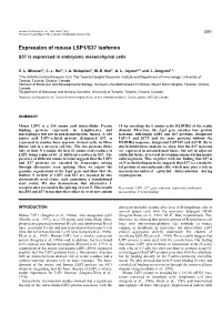 Expression of Mouse LSP1/S37 Isoforms S37 Is Expressed in Embryonic Mesenchymal Cells