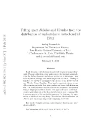 Telling Apart Felidae and Ursidae from the Distribution of Nucleotides in Mitochondrial DNA