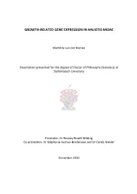 Growth-Related Gene Expression in Haliotis Midae