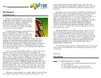 Hatshepsut Questions