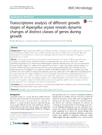Transcriptome Analysis of Different Growth Stages of Aspergillus Oryzae