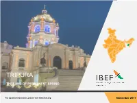 IBEF Presentataion