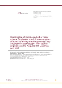 Identification of Jarosite and Other Major Mineral Fe Phases in Acidic