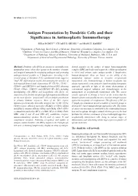Antigen Presentation by Dendritic Cells and Their Significance in Antineoplastic Immunotherapy