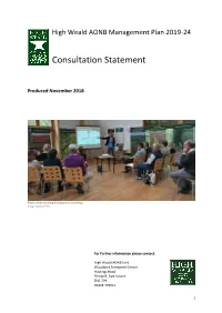 Consultation Statement and AONB Responses