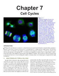 Chapter 7 Cell Cycles