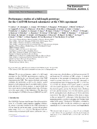 Performance Studies of a Full-Length Prototype for the CASTOR Forward Calorimeter at the CMS Experiment