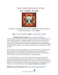 ​ 7 Weeks to Chakra Alignment with Hug Your Chaos Week 1