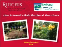 How to Install a Rain Garden at Home
