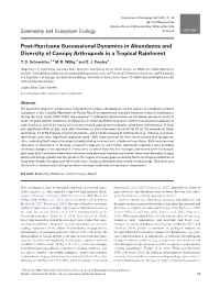 Post-Hurricane Successional Dynamics in Abundance and Diversity of Canopy Arthropods in a Tropical Rainforest