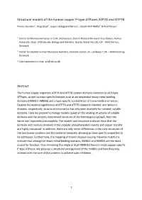 Structural Models of the Human Copper P-‐Type Atpases ATP7A