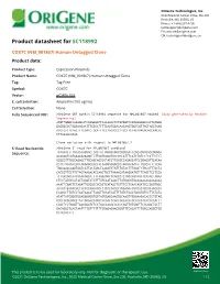 COX7C (NM 001867) Human Untagged Clone Product Data