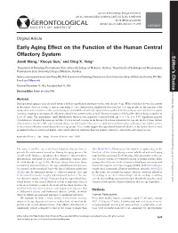 Early Aging Effect on the Function of the Human Central Olfactory System