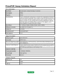 Primepcr™Assay Validation Report
