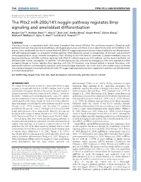 The Pitx2:Mir-200C/141:Noggin Pathway Regulates Bmp Signaling