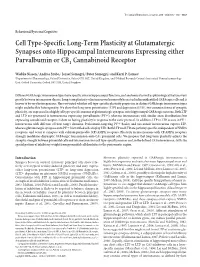 Cell Type-Specific Long-Term Plasticity at Glutamatergic Synapses Onto Hippocampal Interneurons Expressing Either