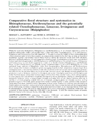 Comparative Floral Structure and Systematics in Rhizophoraceae