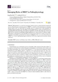 Emerging Roles of BRD7 in Pathophysiology