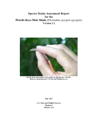 FL Keys Mole Skink SSA Draft