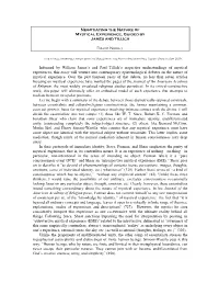 Negotiating the Nature of Mystical Experience, Guided by James and Tillich