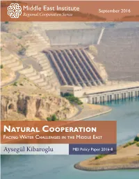 PP8 Kibaroglu RCS Water Web.Pdf