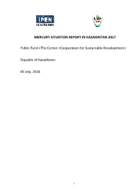 Executive Summary