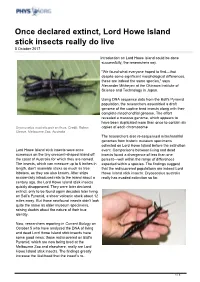 Once Declared Extinct, Lord Howe Island Stick Insects Really Do Live 5 October 2017