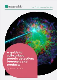 A Guide to Cell-Surface Protein Detection: Protocols and Products by Alomone Labs Contents