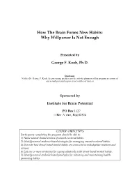 How the Brain Forms New Habits: Why Willpower Is Not Enough