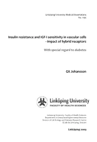 Insulin Resistance and IGF-I Sensitivity in Vascular Cells - Impact of Hybrid Receptors