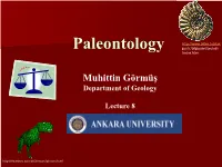 Lecture 8 File