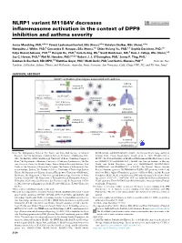 NLRP1 Variant M1184V Decreases Inflammasome Activation in the Context of DPP9 Inhibition and Asthma Severity
